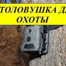 Фотопастки для полювання, як вибрати потрібний (днем з'являється більше технологій) Фотопастки для полювання, як вибрати потрібний