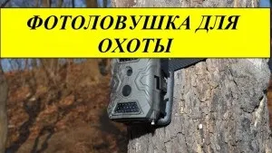 Фотопастки для полювання, як вибрати потрібний (днем з'являється більше технологій) Фотопастки для полювання, як вибрати потрібний