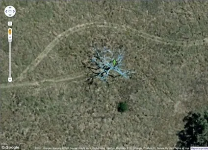 Фото google зняв з космосу загадкові об'єкти, день x (незвичайне) Фото google зняв з космосу загадкові об'єкти, день x