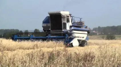 Головна сторінка газети наше життя (новини) Головна сторінка газети наше життя