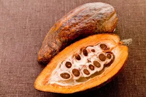 Гарячий шоколад, приготований в домашніх умовах своїми руками смачніше подвійно! (Умов) Гарячий шоколад, приготований в домашніх умовах своїми руками смачніше подвійно!