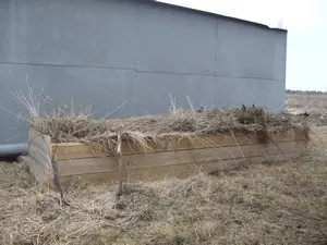 Грядки на цілині