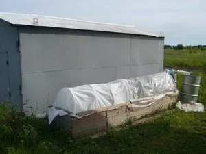 Грядки на цілині