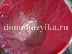 Горщики з гіпсу-спосіб виготовлення з фото (квіткові горщики з гіпсу) Горщики з гіпсу-спосіб виготовлення з фото