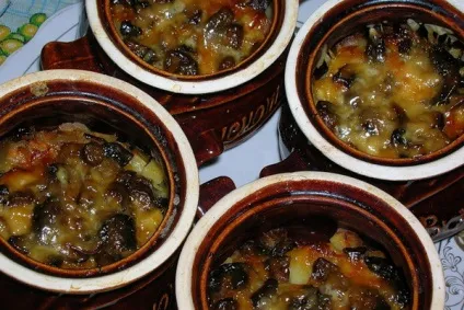Гриби гливи в духовці рецепти, як приготувати гливи з картоплею і інші грибні страви (рецепти) Гриби гливи в духовці рецепти, як приготувати гливи з картоплею і інші грибні страви