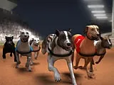 Гра гонки собак - грати онлайн безкоштовно