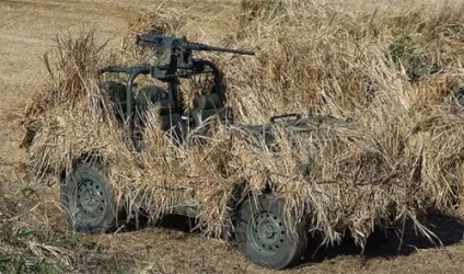 Цікаві факти про сліпоту