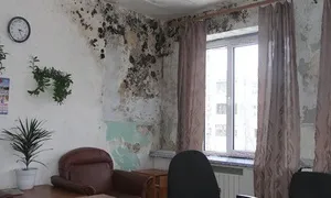 Як позбутися від запаху сирості в квартирі причини, джерела, методи боротьби і профілактики (причини) Як позбутися від запаху сирості в квартирі причини, джерела, методи боротьби і профілактики