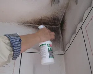 Як позбутися від запаху сирості в квартирі причини, джерела, методи боротьби і профілактики (позбавлятися запах вогкість квартира) Як позбутися від запаху сирості в квартирі причини, джерела, методи боротьби і профілактики