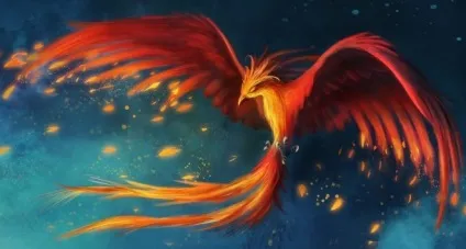 Яким знакам зодіаку пощастить у 2017 році (зодіаку) Яким знакам зодіаку пощастить у 2017 році