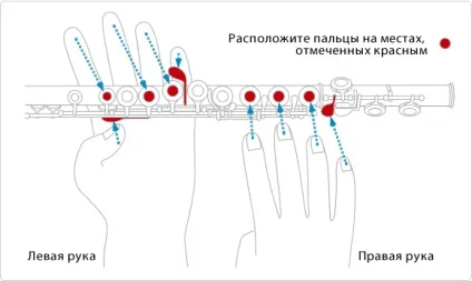 Як грати на флейті