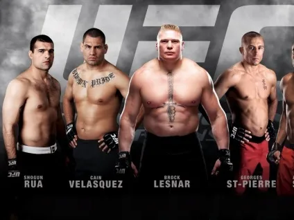 Які відмінності має абревіатура ufc і mma - світ єдиноборств (абревіатура) Які відмінності має абревіатура ufc і mma - світ єдиноборств
