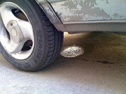 Як позбутися від поганого запаху в салоні автомобіля (салоні транспортного засобу) Як позбутися від поганого запаху в салоні автомобіля