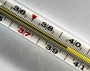 Як лікувати закладеність в горлі, все про лікування горла (лікуванні) Як лікувати закладеність в горлі, все про лікування горла