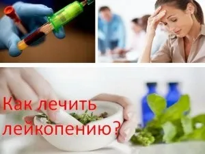 Як лікувати лейкопенію, мій знахар (кров і кровообіг) Як лікувати лейкопенію, мій знахар
