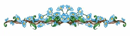 Як намалювати незабудку, букет незабудок олівцем або фарбами поетапно