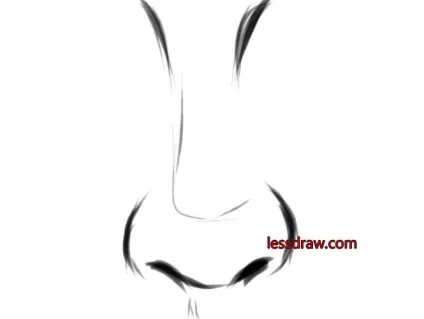 Як намалювати ніс людини поетапно, lessdraw (поетапно) Як намалювати ніс людини поетапно, lessdraw