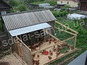 Як обладнати курник