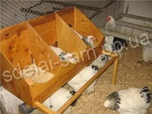 Як обладнати курник