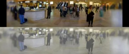 Яке зір у кішок чорно-біле або кольорове (кішка) Яке зір у кішок чорно-біле або кольорове