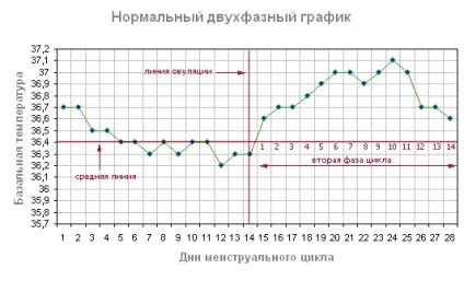 Як визначити овуляцію у жінок в домашніх умовах, по температурі, відчуттям, без тестів, по (температурі) Як визначити овуляцію у жінок в домашніх умовах, по температурі, відчуттям, без тестів, по