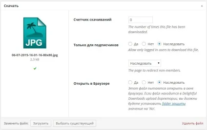 Як налаштувати плагін delightful downloads! Топ (налаштувати) Як налаштувати плагін delightful downloads! Топ