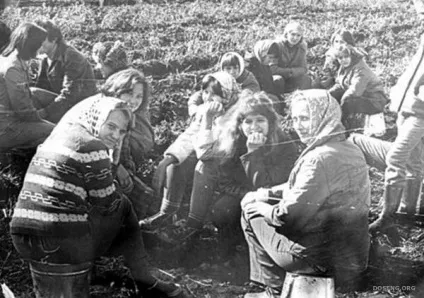 Як одягалася радянська молодь (25 фотографій) (імпортного) Як одягалася радянська молодь (25 фотографій)