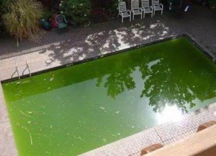 Як очистити басейн або водойму від квітучої води або механічних забруднень - hd interior (водойму) Як очистити басейн або водойму від квітучої води або механічних забруднень - hd interior