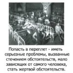 Потрапити в халепу, про все