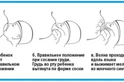 Втрата ваги у новонароджених причини, норми, як уникнути втрати ваги (відео) (норми) Втрата ваги у новонароджених причини, норми, як уникнути втрати ваги (відео)