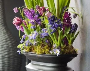 Посадка цибулинних 10 важливих рад ~ покупка, посадка і догляд за рослинами (догляд) Посадка цибулинних 10 важливих рад ~ покупка, посадка і догляд за рослинами