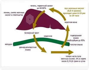 портосистемного шунти