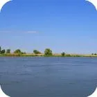 Як полюють на акулу - інші риби (інші) Як полюють на акулу - інші риби
