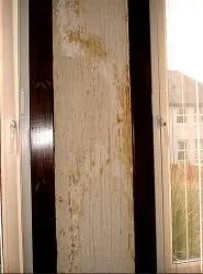 Як перемогти вогкість в квартирі причини виникнення, видалення (вогкість в квартирі) Як перемогти вогкість в квартирі причини виникнення, видалення