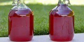Як перегнати брагу без самогонного апарату - кращі методи відео, nalivali (перегнати) Як перегнати брагу без самогонного апарату - кращі методи відео, nalivali