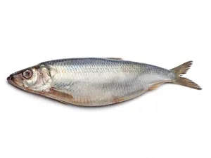 Який живець краще