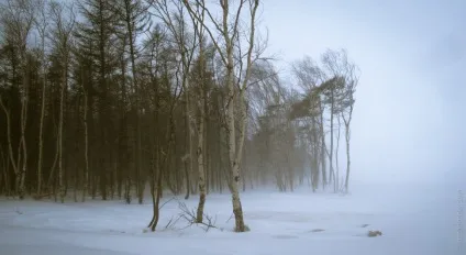Як пішки прийти на острів схильні (хочеш потрапити острів) Як пішки прийти на острів схильні