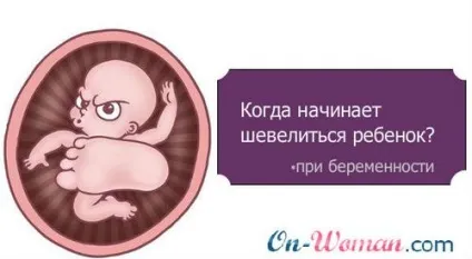 Як відчути ворушіння плода на 19 тижні, 19 тижнів вагітності (відчути) Як відчути ворушіння плода на 19 тижні, 19 тижнів вагітності