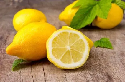 Який запах кішки не люблять найбільше, найпопулярніші аромати (кішки) Який запах кішки не люблять найбільше, найпопулярніші аромати