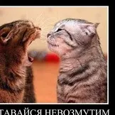 Як поставити скло у двері