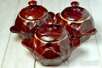 Як користуватися керамічними горщиками - коло знань (користуватися) Як користуватися керамічними горщиками - коло знань