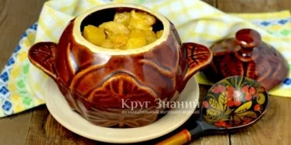 Як користуватися керамічними горщиками - коло знань (горщиками) Як користуватися керамічними горщиками - коло знань