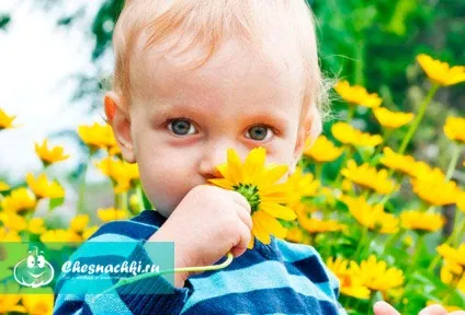 Як зрозуміти що у дитини алергічний кашель - симптоми і лікування (дитини) Як зрозуміти що у дитини алергічний кашель - симптоми і лікування