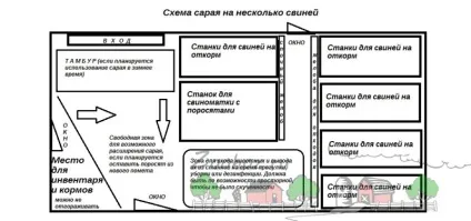 Як правильно побудувати сарай для свиней своїми руками в домашніх умовах без великих витрат (сарай) Як правильно побудувати сарай для свиней своїми руками в домашніх умовах без великих витрат