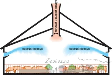 Як правильно побудувати сарай для свиней своїми руками в домашніх умовах без великих витрат (правильно) Як правильно побудувати сарай для свиней своїми руками в домашніх умовах без великих витрат