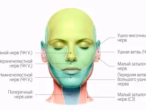 Як проблеми щитовидки відображаються на шкірі (проблеми) Як проблеми щитовидки відображаються на шкірі