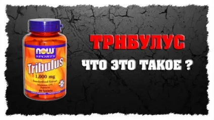 Як приймати трібулус інструкції