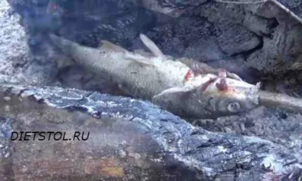 Як приготувати річкову рибу секрети приготування річкової риби, рецепти (річкову) Як приготувати річкову рибу секрети приготування річкової риби, рецепти
