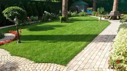 Як розбити гарний газон