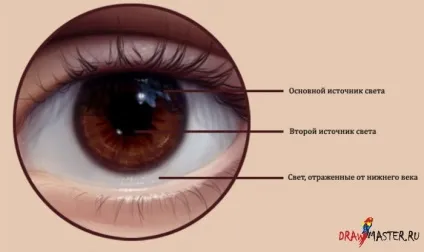 Як малювати реалістичні очі (як намалювати очей) Як малювати реалістичні очі